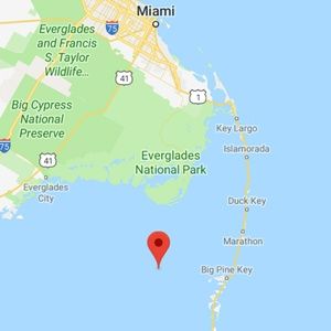 Meet your Posher, Dustin